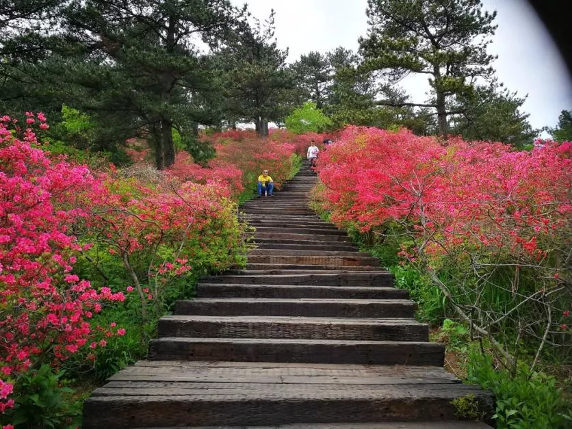 龜峰山風景區好玩嗎 龜峰山旅游攻略 龜峰山風景區好玩嗎 龜峰山旅游攻略