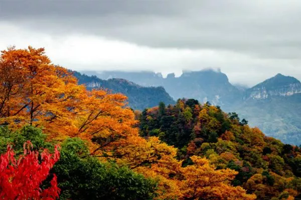 2022光霧山紅葉節自駕游路線攻略