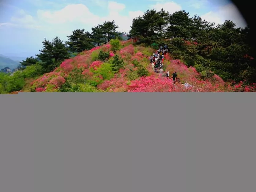 龜峰山風景區好玩嗎 龜峰山旅游攻略 龜峰山風景區好玩嗎 龜峰山旅游攻略