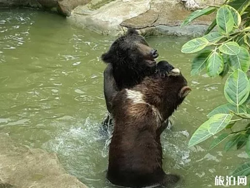 南寧動物園門?
?多少錢 地址+門票+交通指南 南寧動物園門票多少錢 地址+門票+交通指南