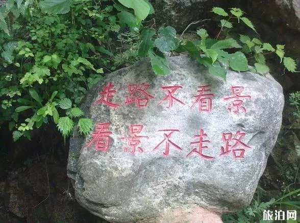 牛背梁森林公園一日游攻略 牛背梁森林公園一日游攻略