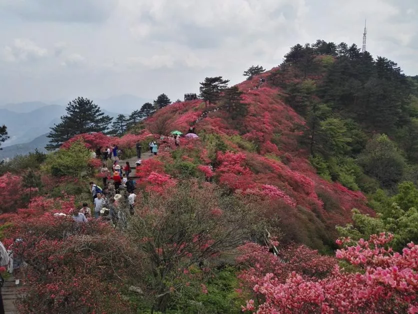 龜峰山風景區好玩嗎 龜峰山旅游攻略 龜峰山風景區好玩嗎 龜峰山旅游攻略
