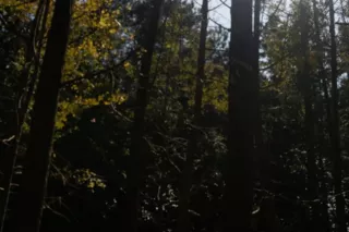 桂林大圩古鎮有什么好玩的景點 桂林大圩古鎮有什么好玩的景點
