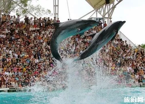 <a href='/nanning/' target=_blank>南寧</a><a href='/dongwuyuan/' target=_blank>動物園</a>門票多少錢 <a href='/dizhi/' target=_blank>地址</a>+門票+<a href='/jiaotong/' target=_blank>交通</a>指南 南寧<a href='/dongwu/' target=_blank>動物</a>園門票多少錢 地址+門票+交通指南