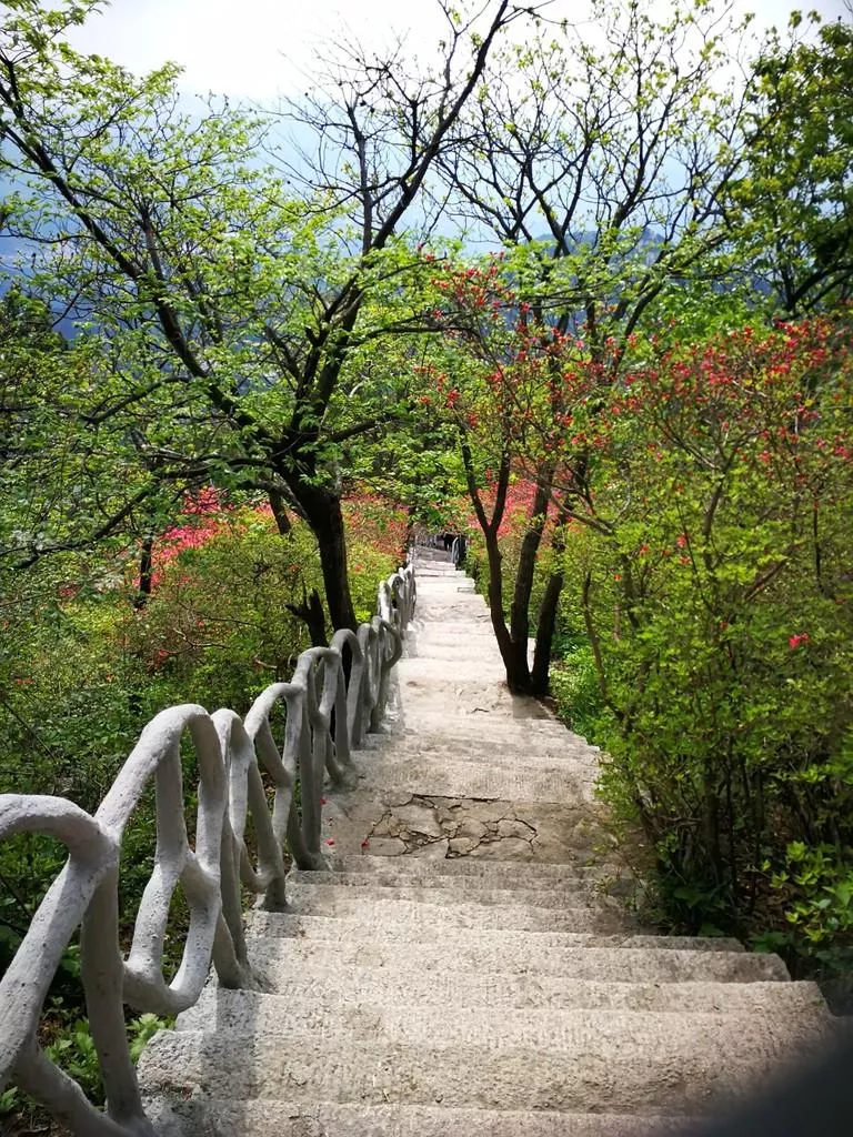 龜峰山風景區好玩嗎 龜峰山旅游攻略 龜峰山風景區好玩嗎 龜峰山旅游攻略