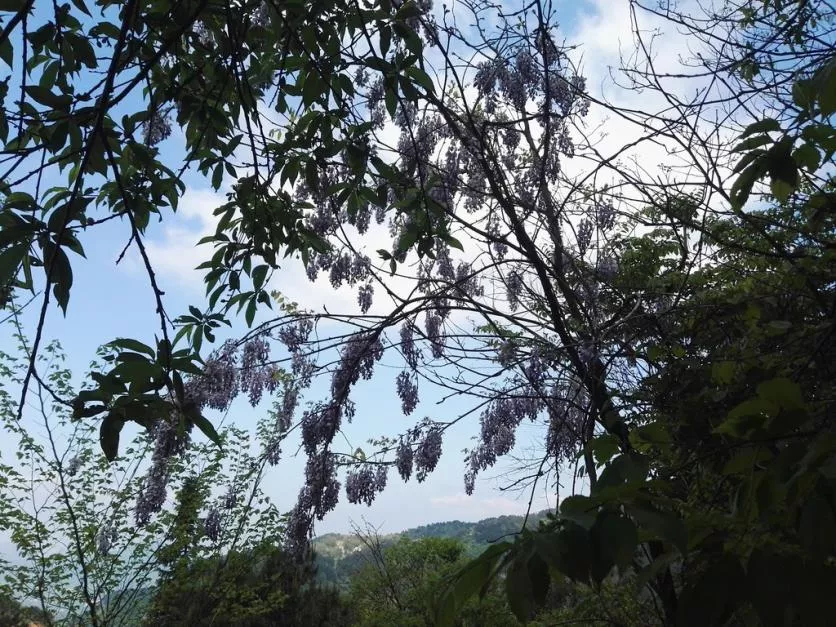 龜峰山風景區好玩嗎 龜峰山旅游攻略 龜峰山風景區好玩嗎 龜峰山旅游攻略