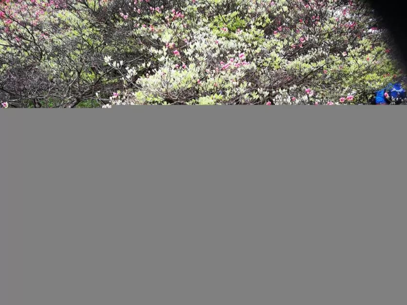 龜峰山風景區好玩嗎 龜峰山旅游攻略 龜峰山風景區好玩嗎 龜峰山旅游攻略