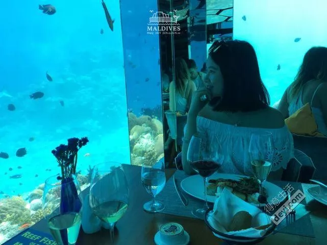 馬爾代夫安娜塔拉吉哈瓦?
?旅游攻略 馬爾代夫安娜塔拉吉哈瓦島旅游攻略