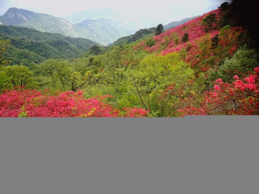 龜峰山風景區好玩嗎 龜峰山旅游攻略 龜峰山風景區好玩嗎 龜峰山旅游攻略