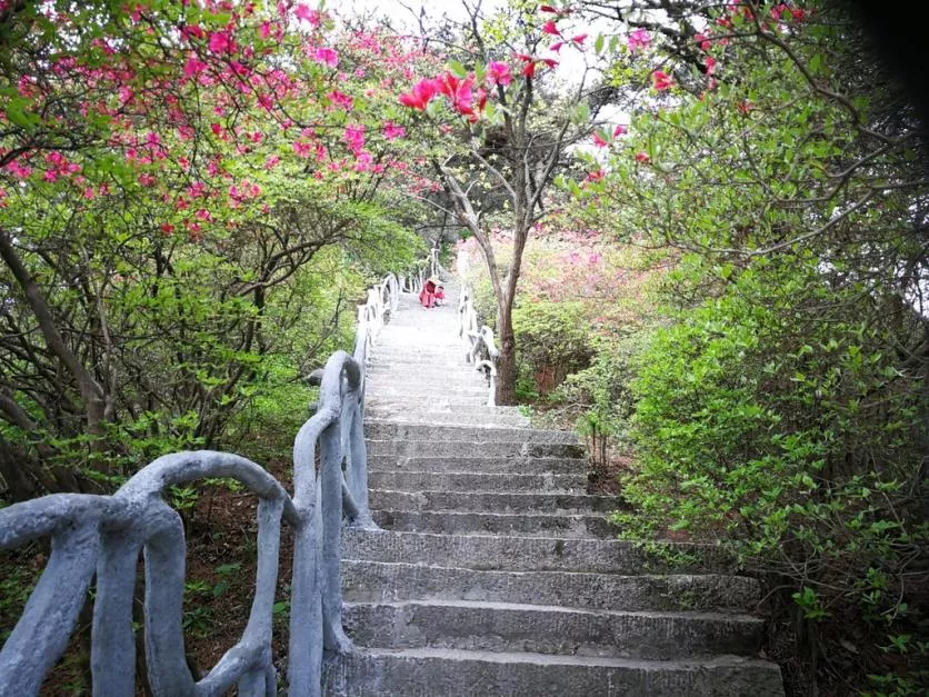 龜峰山風景區好玩嗎 龜峰山旅游攻略 龜峰山風景區好玩嗎 龜峰山旅游攻略