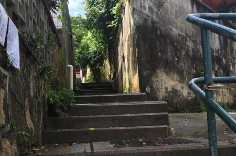 香港南丫島怎么去 香港南丫島有什么好玩的 香港南丫島怎么去 香港南丫島有什么好玩的