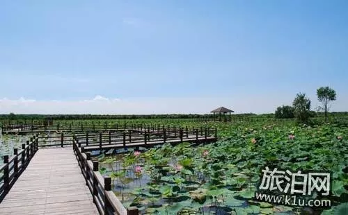 南沙濕地公園游玩攻略2018 南沙濕地公園游玩攻略2018