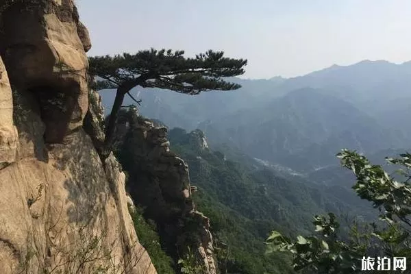 云蒙山國家森林公園一日游攻略 云蒙山國家森林公園一日游攻略
