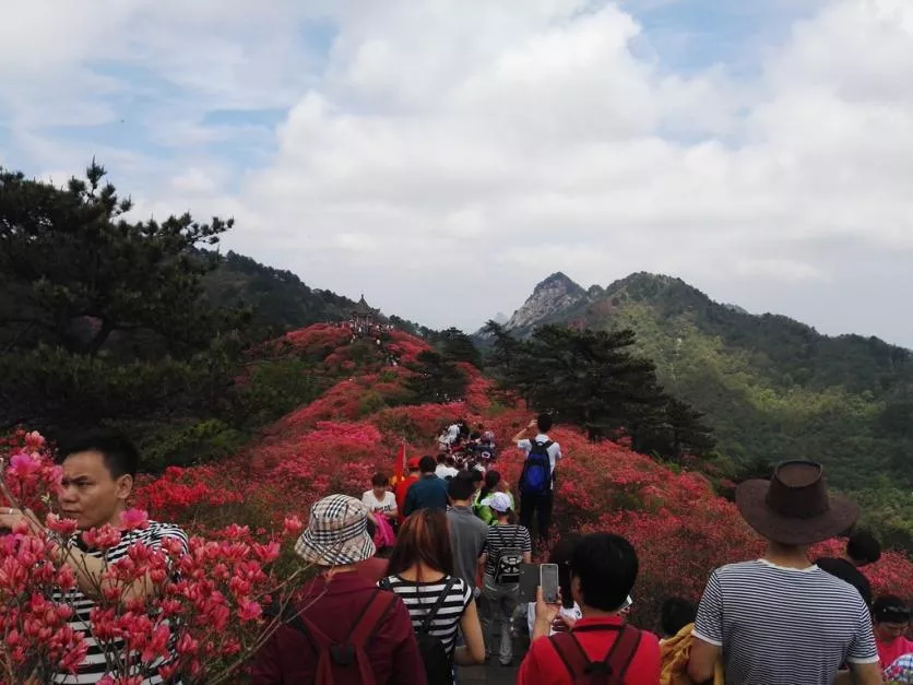龜峰山風景區好玩嗎 龜峰山旅游攻略 龜峰山風景區好玩嗎 龜峰山旅游攻略