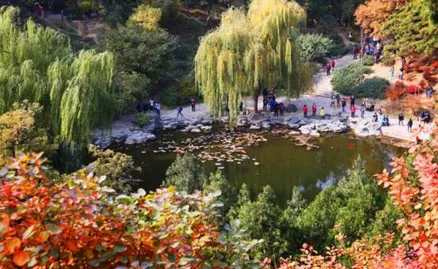 香山公園什么時候去最好 香山公園門票是多少 香山公園什么時候去最好 香山公園門票是多少
