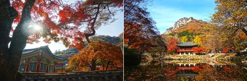 全羅南道旅游攻略2017 全羅南道有什么好玩的 全羅南道旅游攻略2017 全羅南道有什么好玩的