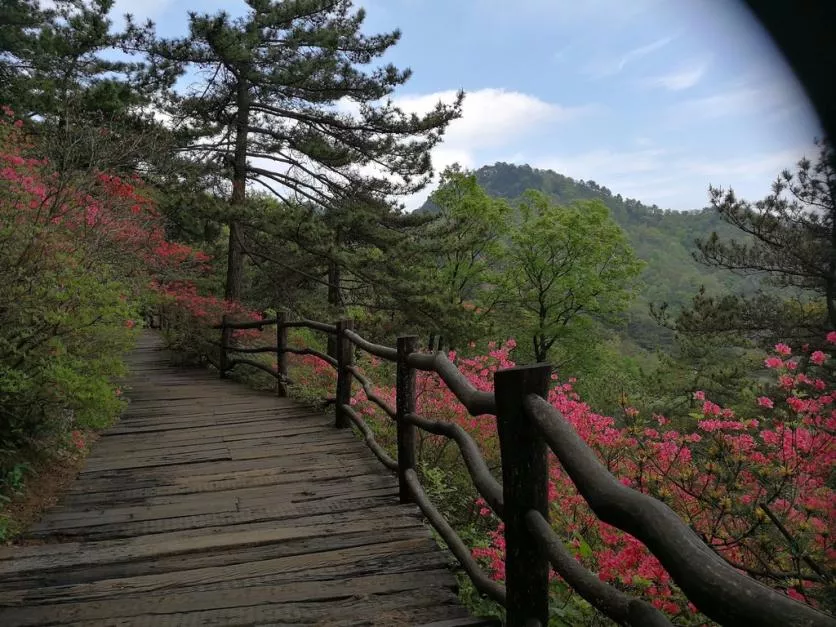龜峰山風景區好玩嗎 龜峰山旅游攻略 龜峰山風景區好玩嗎 龜峰山旅游攻略