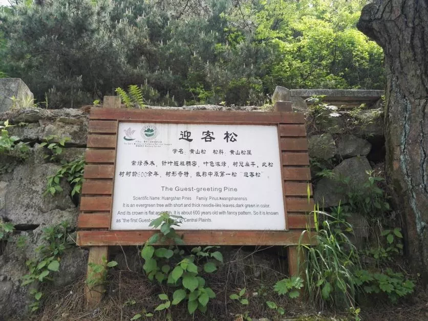 龜峰山風景區好玩嗎 龜峰山旅游攻略 龜峰山風景區好玩嗎 龜峰山旅游攻略