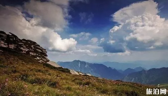 東坪溝高山草甸攻略 東坪溝高山草甸攻略