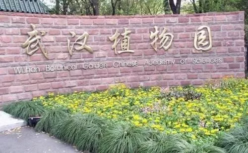 武漢植物園好玩嗎 武漢植物園有什么好玩的 武漢植物園好玩嗎 武漢植物園有什么好玩的