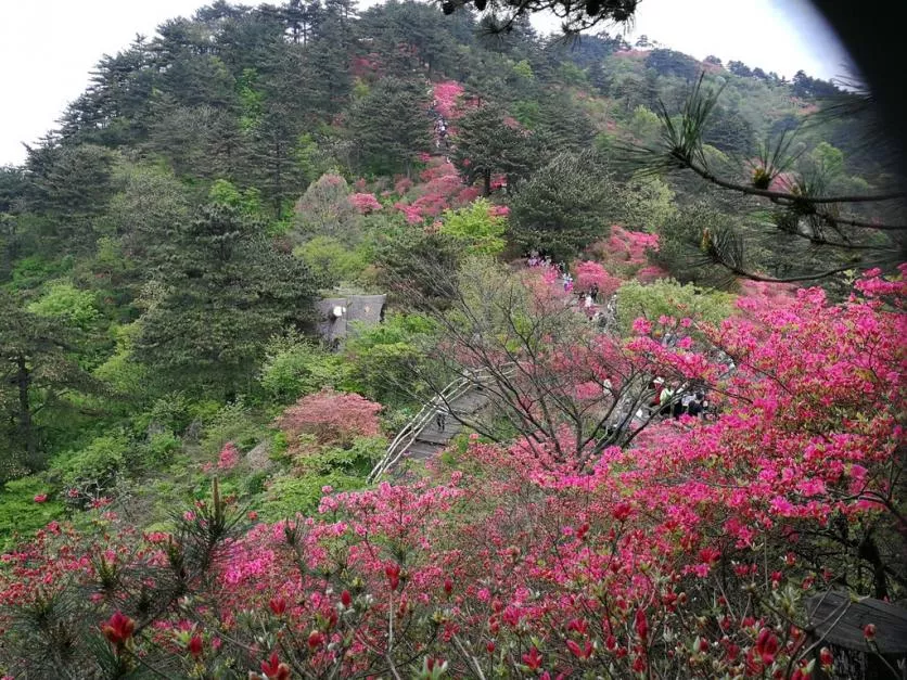 龜峰山風景區好玩嗎 龜峰山旅游攻略 龜峰山風景區好玩嗎 龜峰山旅游攻略