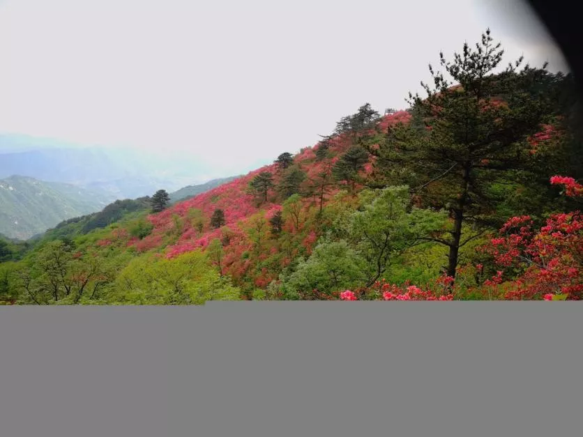 龜峰山風景區好玩嗎 龜峰山旅游攻略 龜峰山風景區好玩嗎 龜峰山旅游攻略