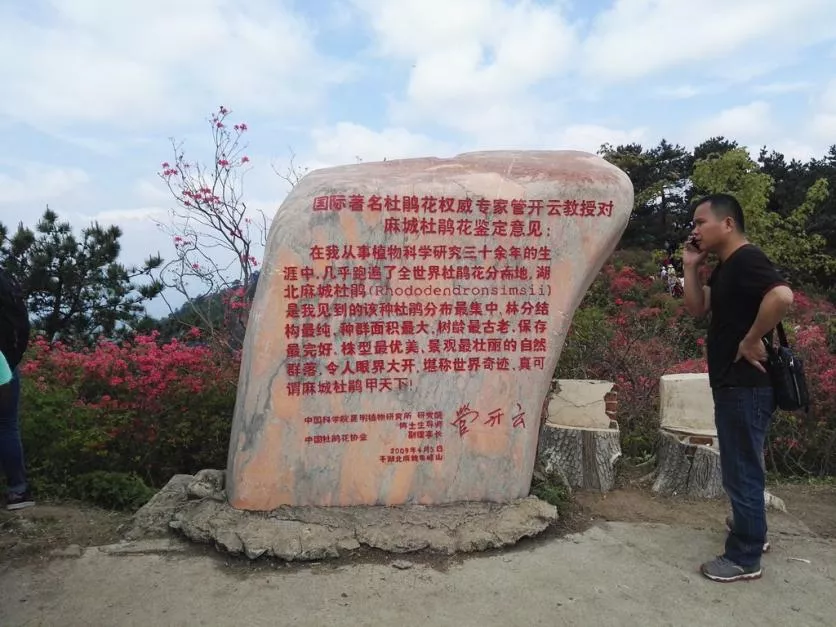 龜峰山風景區好玩嗎 龜峰山旅游攻略 龜峰山風景區好玩嗎 龜峰山旅游攻略