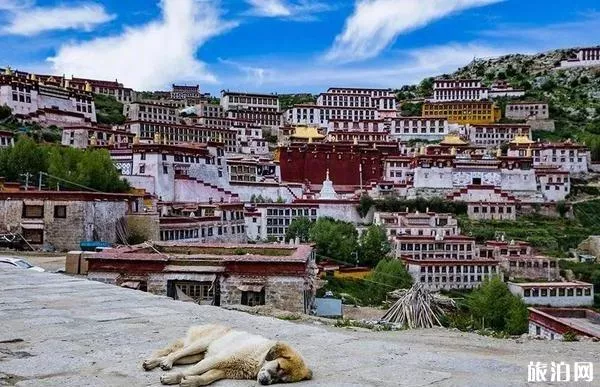 2020年甘丹寺<a href='https://www.www.51kouyi.org/' target=_blank>旅游攻略</a>指南 2020年甘丹寺<a href='/lvyougonglue/' target=_blank>旅游攻略</a>指南