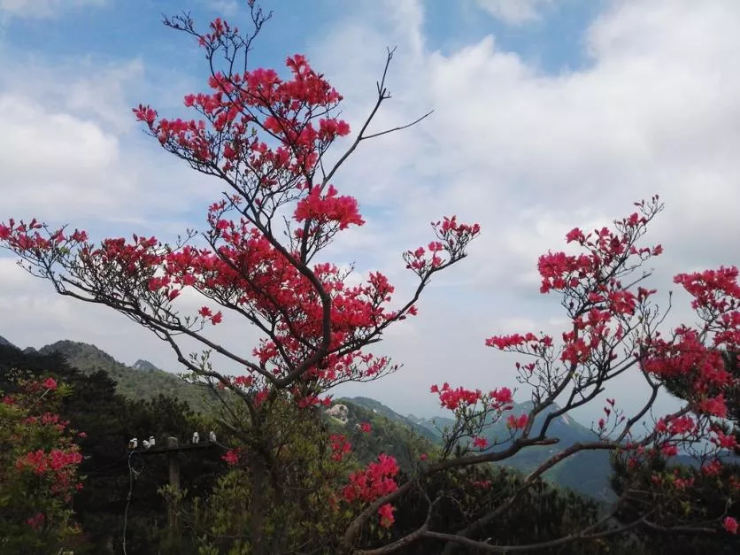 龜峰山風景區好玩嗎 龜峰山旅游攻略 龜峰山風景區好玩嗎 龜峰山旅游攻略