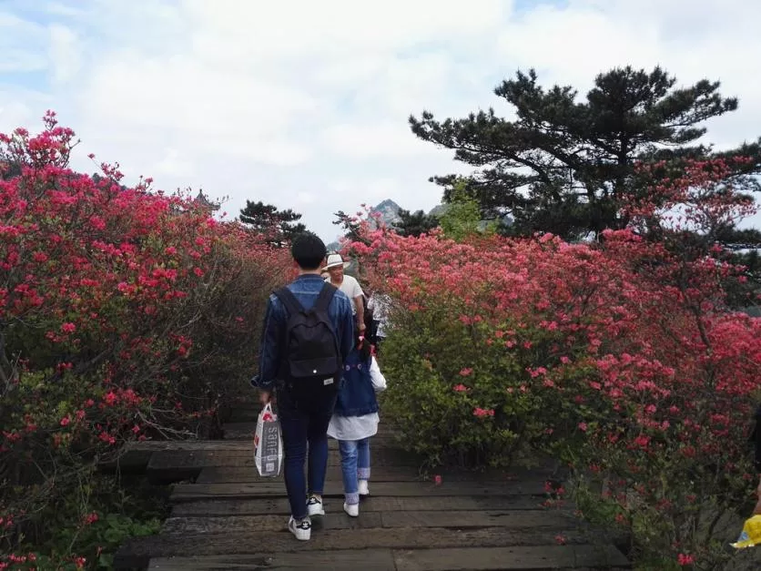 龜峰山風景區好玩嗎 龜峰山旅游攻略 龜峰山風景區好玩嗎 龜峰山旅游攻略