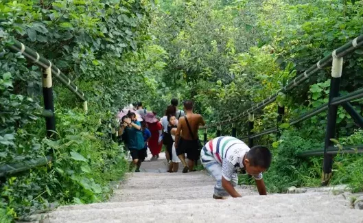香山公園門票是多少 香山公園攻略 香山公園門票是多少 香山公園攻略