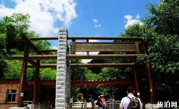 牛背梁森林公園一日游攻略 牛背梁森林公園一日游攻略