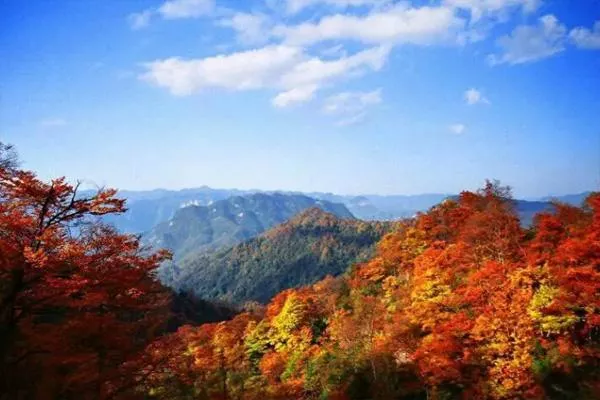 光霧山紅葉節2022年什么時候開幕