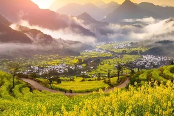 婺源油菜花季節是幾月份