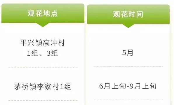 四川樂山市市中區春日賞花指南 附詳細花類、賞花地址、賞花時間