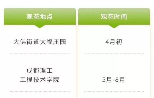 四川樂山市市中區春日賞花指南 附詳細花類、賞花地址、賞花時間
