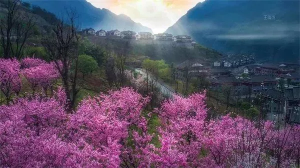 武隆區春游踏青好去處推薦 賞花、摘草莓等玩法都有哦 武隆區春游踏青好去處推薦 賞花、摘草莓等玩法都有哦