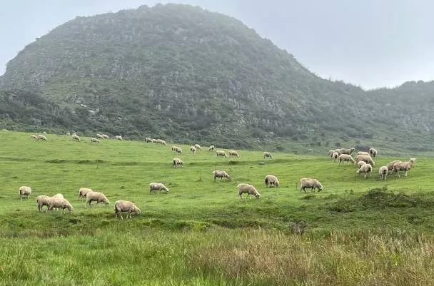 畢節旅游?
?點有哪些地方