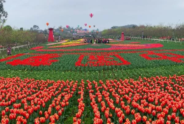 墊江牡丹花最佳時間2023 牡丹花節時間