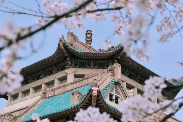 武大櫻花2023年預約