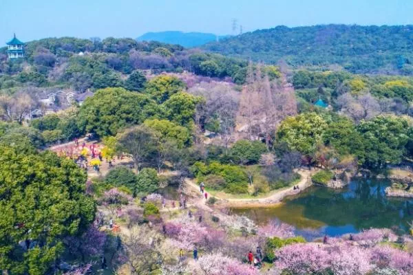 春季旅游最佳去處國內有哪些地方